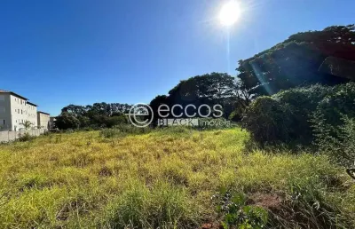Área à venda, chácaras tubalina e quartel - uberlândia/mg
