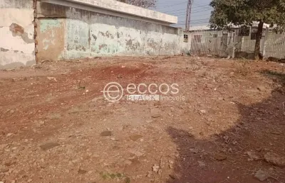 Terreno comercial à venda na Rua Ipiranga, --, Cazeca, Uberlândia