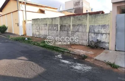 Terreno comercial à venda na Rua Niterói, 306, Bom Jesus, Uberlândia
