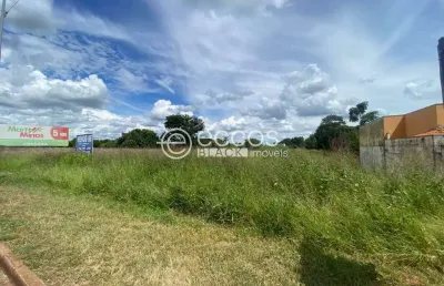 Terreno comercial à venda na Rua Cário Batista Beirigo, 339, Chácaras Vila Real, Uberaba