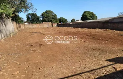 Terreno comercial à venda na Rua Rosa Manzan, S/N, Fabrício, Uberaba