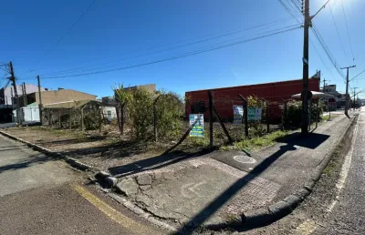 Terreno comercial para alugar na Rua Janis Falgatti Roth, 435, Sítio Cercado, Curitiba