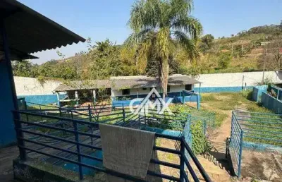 Chácara com 20 dormitórios, 20000 m² - venda por r$ 3.200.000,00 ou aluguel por r$ 15.000,01 - três bocas  - londrina/pr