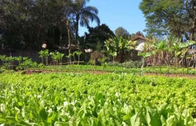 Terreno à venda no bairro village campinas em campinas