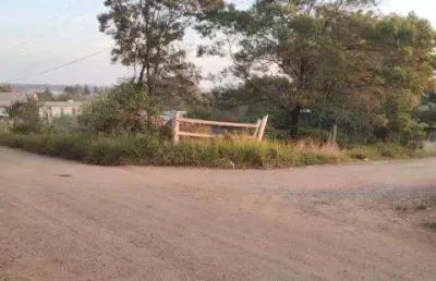 Terreno comercial para alugar na Rua do Patronato, S/N, Novo Horizonte, Sapucaia do Sul