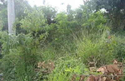Terreno à venda no Niterói, Betim 