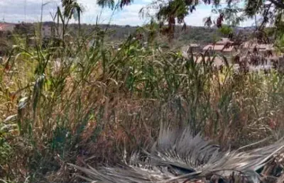 Terreno à venda no Novo Guarujá, Betim 