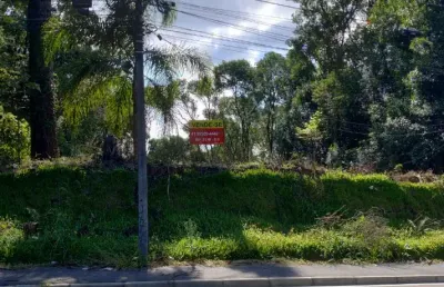 Terreno à venda na Rua Professor Alberto Piekarz, Colônia Antônio Prado, Almirante Tamandaré
