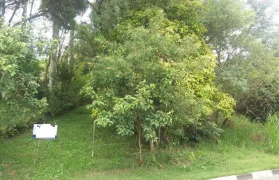 Terreno à venda, 4200 m² por r$ 1.890.000,00 - cachoeira - vinhedo/sp