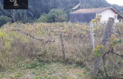 Área à venda, 1632 m² por r$ 1.224.000,00 - capivari - louveira/sp