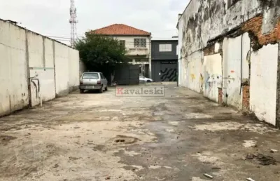 Terreno comercial para alugar na Rua Rio do Peixe, --, Vila Lucia, São Paulo