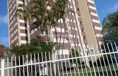 ** ótimo imóvel a venda no bairro baeta neves em são bernardo do campo.