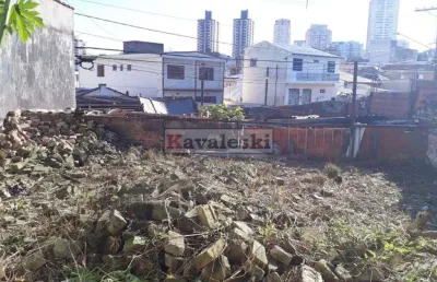 Terreno comercial para alugar na Rua Angaíba, --, Vila Brasílio Machado, São Paulo