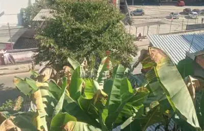 Excelente oportunidade de casa com lote em são pedro!