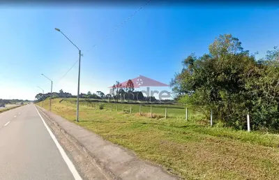 Terreno comercial à venda na marginal da br-376, 934, miringuava, são josé dos pinhais, 67135 m2 por r$ 13.427.000