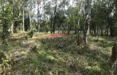 Chácara / sítio à venda na rua josé biscaia de andrade, zona rural, mandirituba, 2499 m2 por r$ 249.000