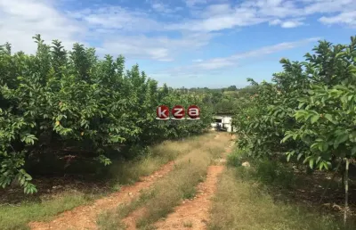 Sítio à venda em valinhos-sp, bairro macuco: 1 quarto, 1 banheiro, 32.000m² de área! aproveite esta oportunidade!