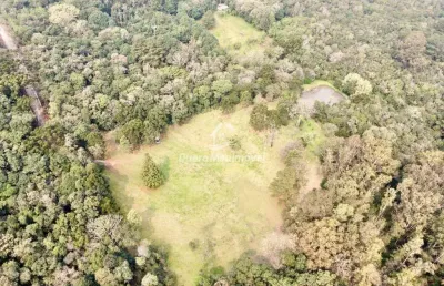 Chácara / sítio à venda na estrada do imigrante, 2300, nossa senhora das graças, caxias do sul por r$ 850.000