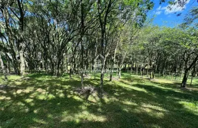 Terreno à venda na rua general alexandre moss simões dos reis, 1, são ciro, caxias do sul por r$ 790.000