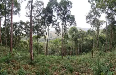 Terreno à venda na Estrada México, 539, Albuquerque, Teresópolis