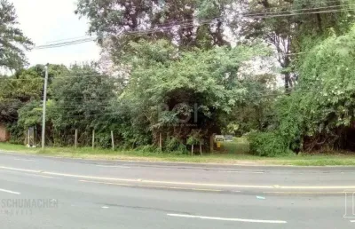Terreno para venda - 0m², 0 dormitórios, pedra redonda