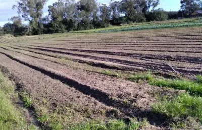 Terreno à venda na Avenida do Lami, 2762, Lageado, Porto Alegre