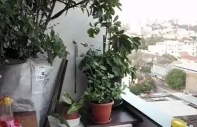 Apartamento para venda - 100.6m², 2 dormitórios, floresta