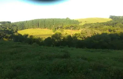 Chácara / sítio à venda na Municipal Fazenda Souza, 1085, Fazenda Souza, Caxias do Sul