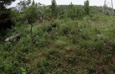 Terreno à venda na Estrada das Furnas, 78, Vila Nova, Porto Alegre