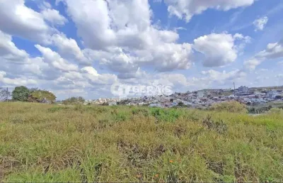 Terreno comercial para alugar no Rancho Alegre, Divinópolis 