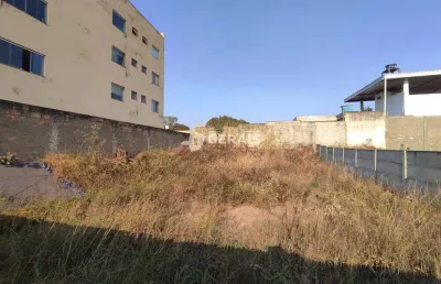 Terreno comercial para alugar no Universitário, Divinópolis 