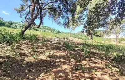 Terreno comercial para alugar no Rancho Alegre, Divinópolis 
