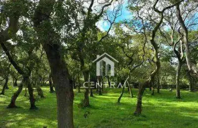 Venda terreno 7.000,00 m² no alto da colina sorocaba  localização privilegiada