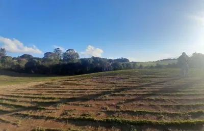 Área à venda, 59660 m² por r$ 150,00 - veneza - fazenda rio grande/pr