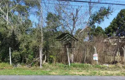 Terreno à venda, 600 m² por r$ 348.000 - cristal - são josé dos pinhais/pr