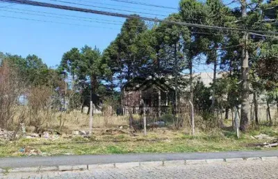 Terreno à venda, 1038 m² por r$ 602.000,00 - cristal - são josé dos pinhais/pr
