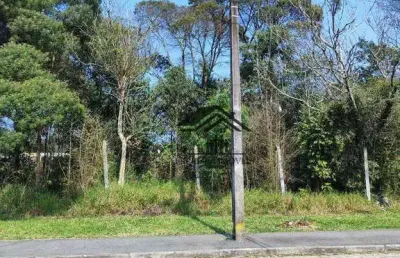 Terreno à venda, 600 m² por r$ 348.000 - cristal - são josé dos pinhais/pr