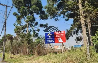 Terreno à venda, 2972 m² por r$ 1.748.000 - cristal - são josé dos pinhais/pr