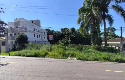 Terreno à venda, 1032 m² por r$ 1.200.000,00 - santa cândida - curitiba/pr