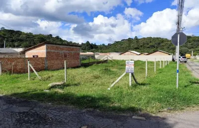 Terreno à venda, 432 m² por r$ 210.000 - dom rodrigo - são josé dos pinhais/pr