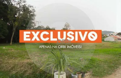 Terreno à venda, 40000 m² por r$ 9.800.000,00 - velha - blumenau/sc