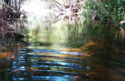 Chácara para venda em cocalzinho de goiás, edilândia, 5 dormitórios, 2 suítes, 3 banheiros, 6 vagas