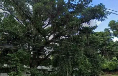 Casa com 6 quartos à venda na Avenida Guaíba, 2898, Vila Assunção, Porto Alegre