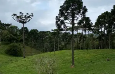 Chácara para venda em campo alegre, ., 2 dormitórios, 1 suíte, 3 banheiros