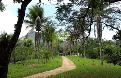 Chácara / sítio com 2 quartos à venda na Área Rural, Área Rural de Macaé, Macaé
