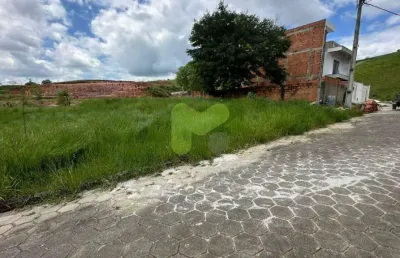 Terreno totalmente plano no alto das palmeiras (parte baixa)
