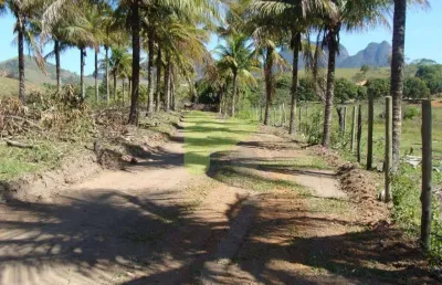 Chácara / sítio à venda na Rua Bemtevi, Colinas, Rio das Ostras