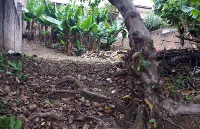Terreno à venda no jardim martinelli (sousas), campinas  por r$ 320.000