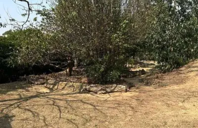 Terreno em condomínio fechado à venda na rua da lagoa, 2, loteamento caminhos de san conrado (sousas), campinas por r$ 490.000