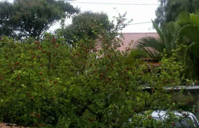 Casa com 3 quartos à venda no parque das colinas, valinhos , 220 m2 por r$ 700.000